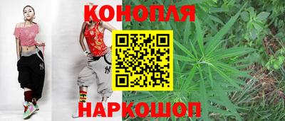 хмурый Шелехов