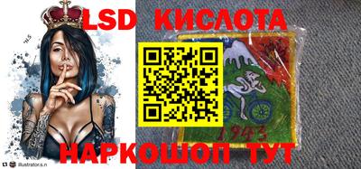 крисы Шахты