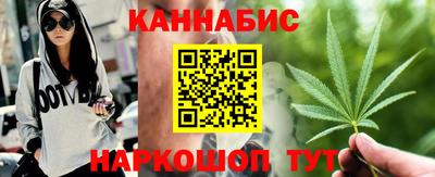 крисы Шахты