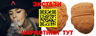 крисы Шахты